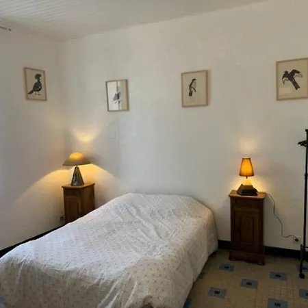 Petite Maison Et Son Jardinet *